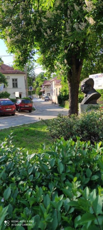 Stevan Sremac Soko Banja Exteriér fotografie
