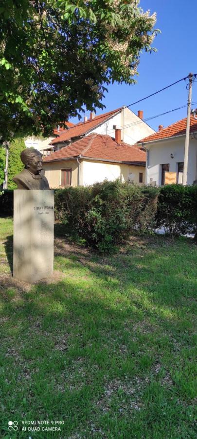 Stevan Sremac Soko Banja Exteriér fotografie