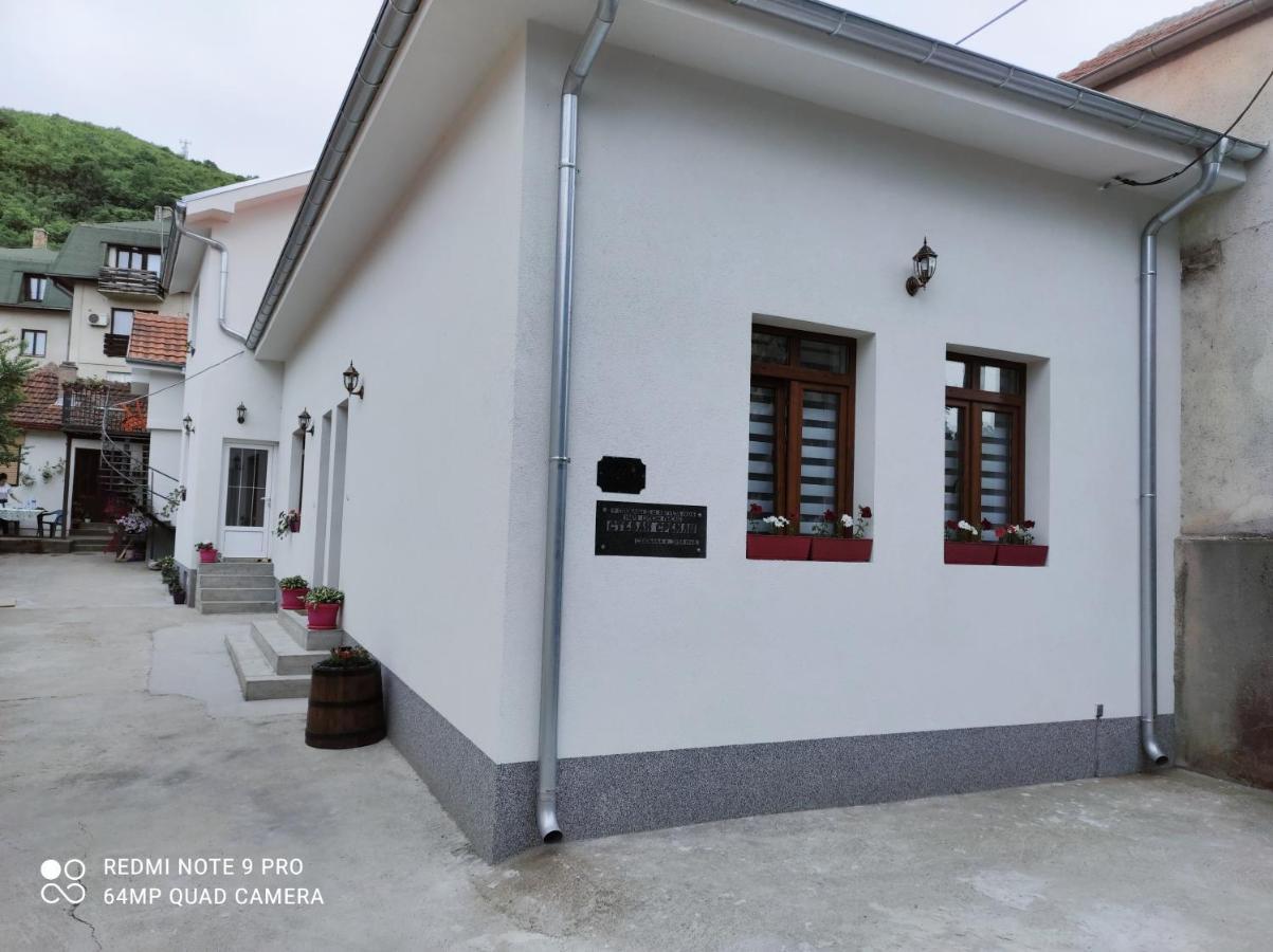 Stevan Sremac Soko Banja Exteriér fotografie