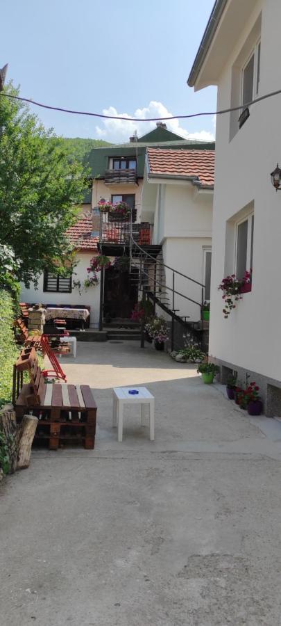 Stevan Sremac Soko Banja Exteriér fotografie