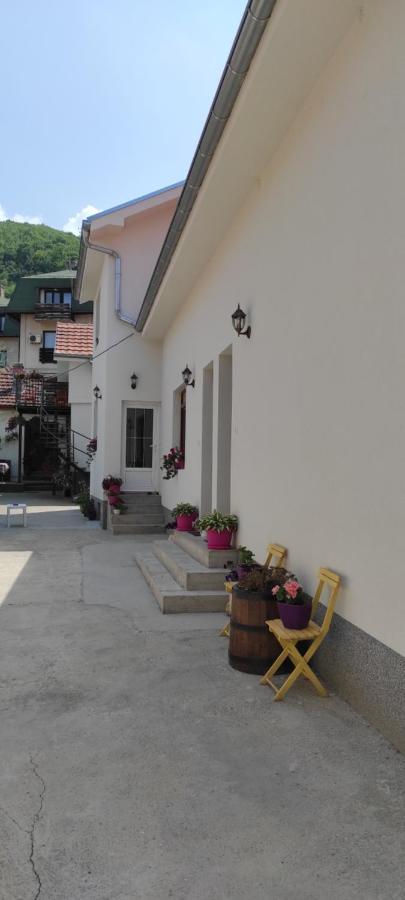 Stevan Sremac Soko Banja Exteriér fotografie