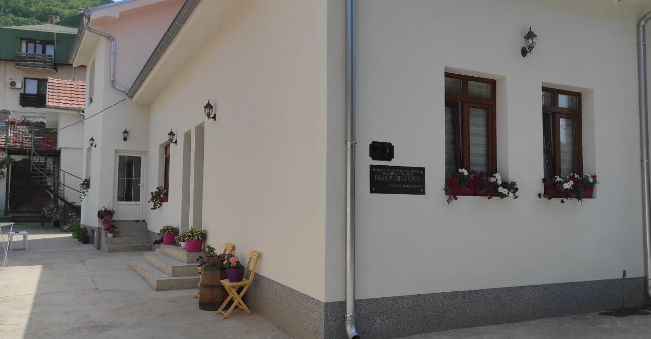 Stevan Sremac Soko Banja Exteriér fotografie