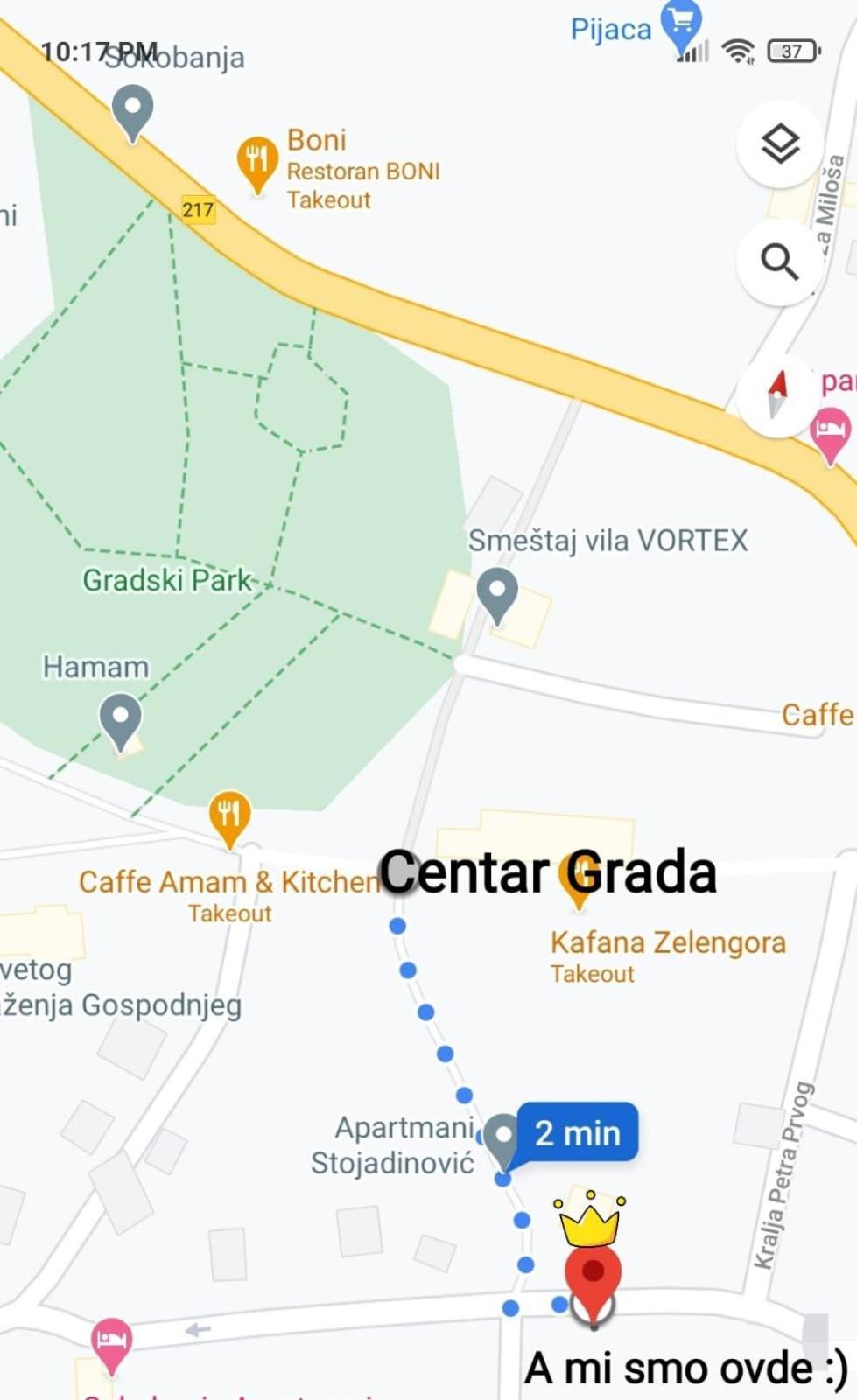 Stevan Sremac Soko Banja Exteriér fotografie